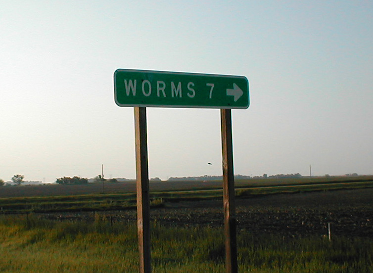 worms.jpg